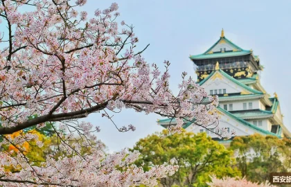 西安博物馆地图：值得一逛的十座博物馆