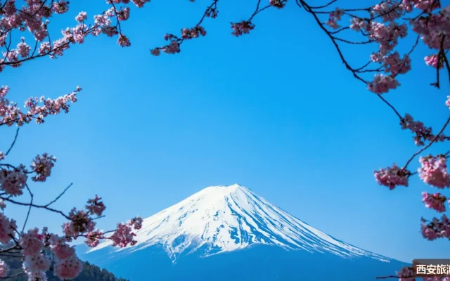 西安门票预约指南：热门景点预约技巧