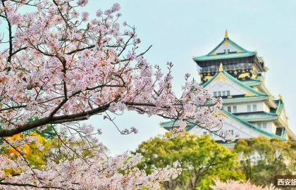西安玩几天合适？行程天数与节奏建议